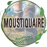 toile moustiquaire dôme de randonnée imprégnée anti moustiques bivouac nature moustiquaire camping