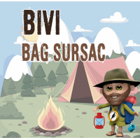 Bivi Bag